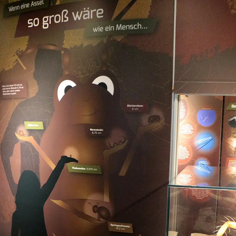 Ausstellungsgestaltung Bodenausstellung Senckenberg