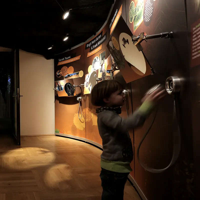 Ausstellungsgestaltung Bodenausstellung Senckenberg