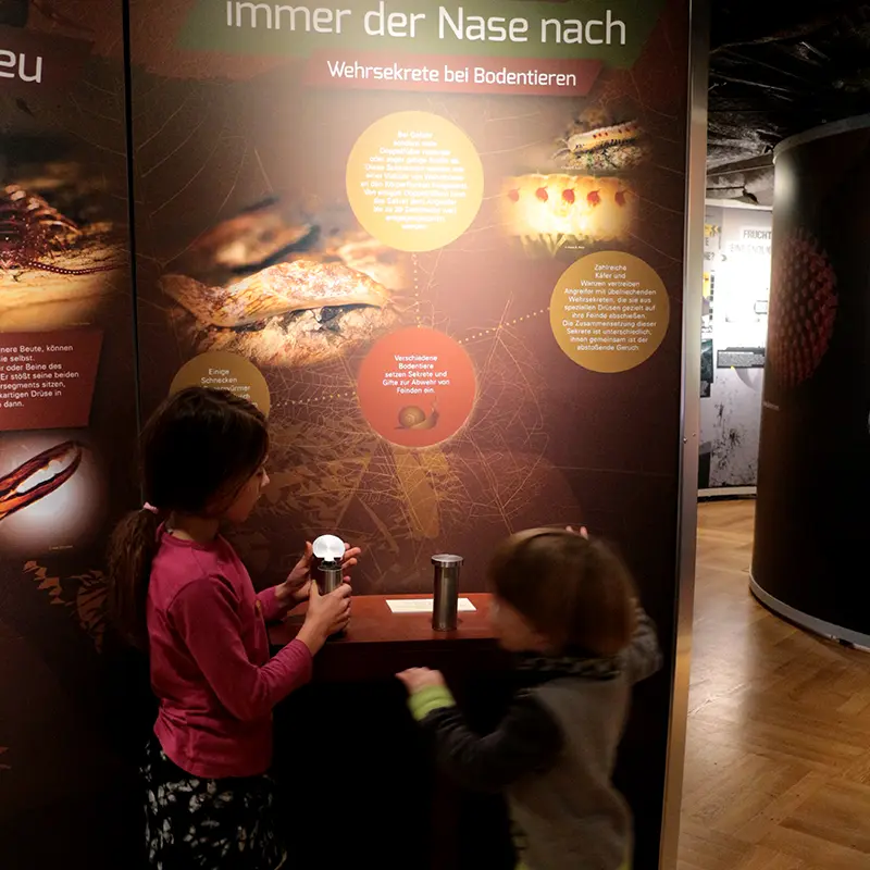 Ausstellungsgestaltung Bodenausstellung Senckenberg