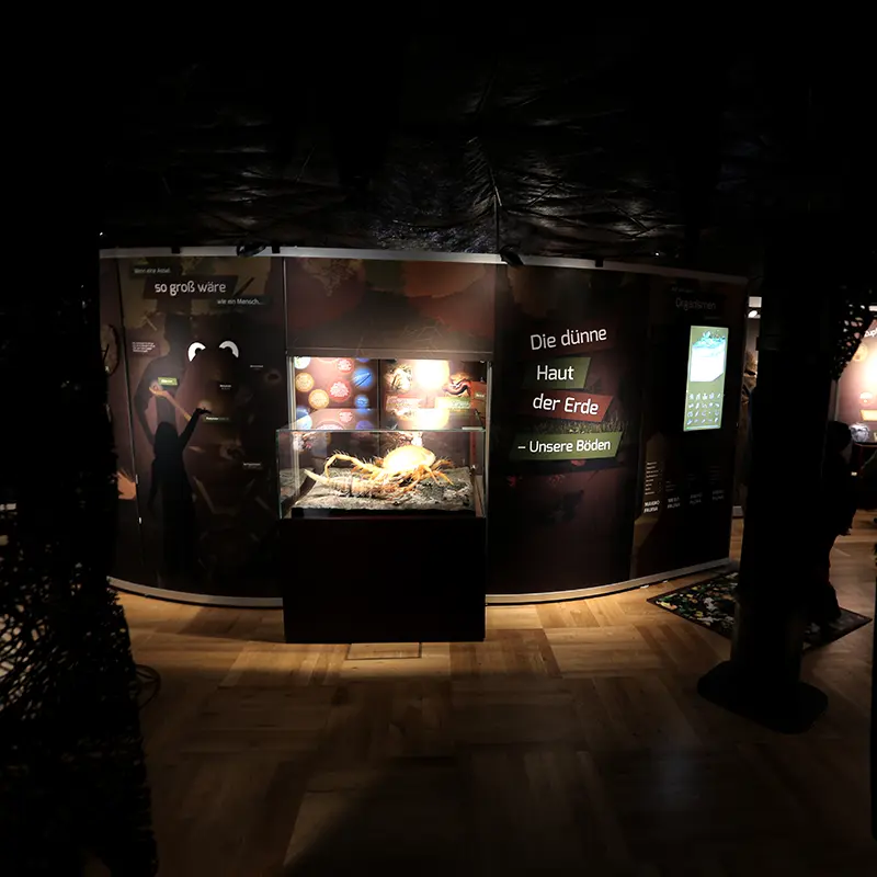 Ausstellungsgestaltung Bodenausstellung Senckenberg