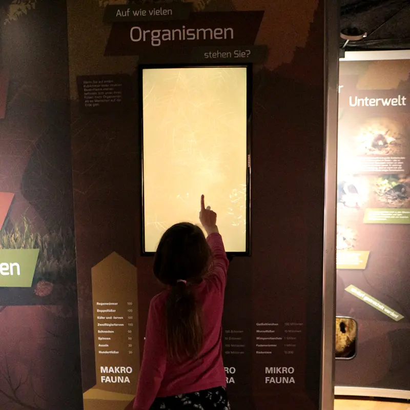 Ausstellungsgestaltung Bodenausstellung Senckenberg