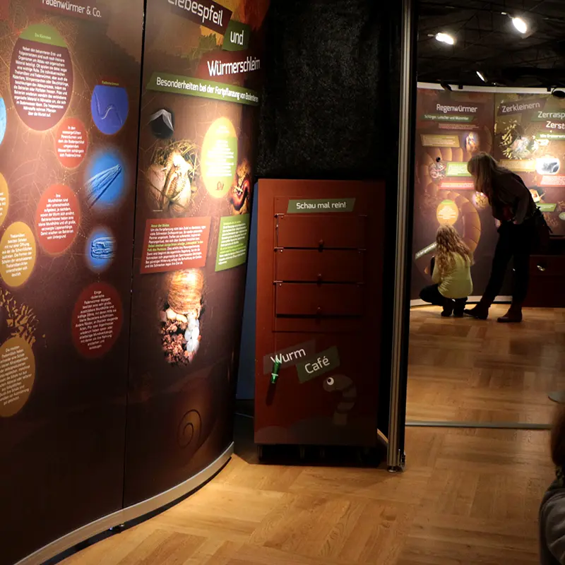 Ausstellungsgestaltung Bodenausstellung Senckenberg