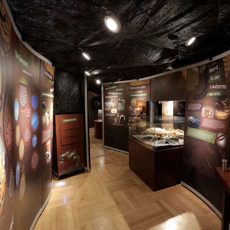 Ausstellungsgestaltung Bodenausstellung Senckenberg