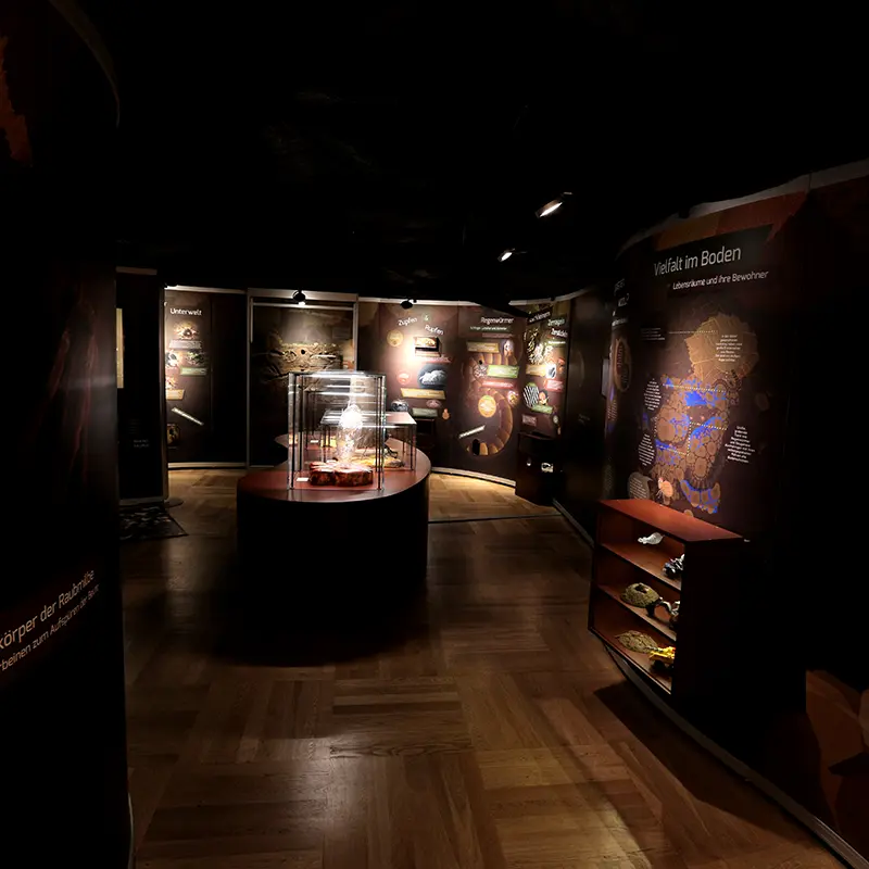 Ausstellungsgestaltung Bodenausstellung Senckenberg