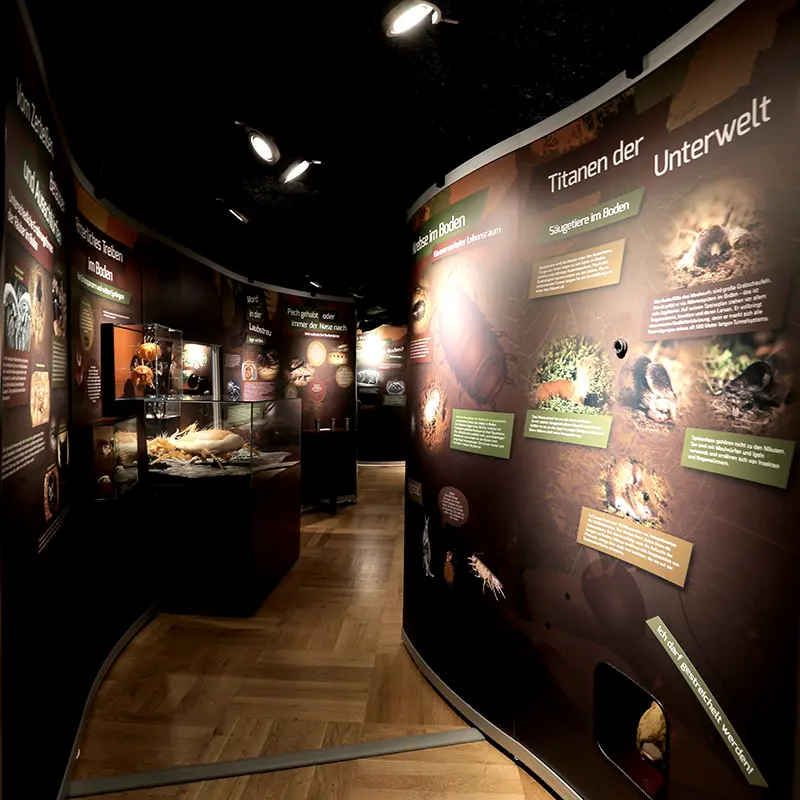 Ausstellungsgestaltung Bodenausstellung Senckenberg