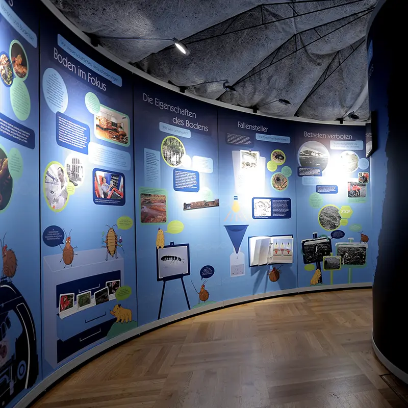Ausstellungsgestaltung Bodenausstellung Senckenberg