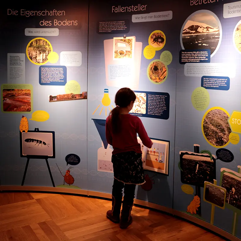 Ausstellungsgestaltung Bodenausstellung Senckenberg