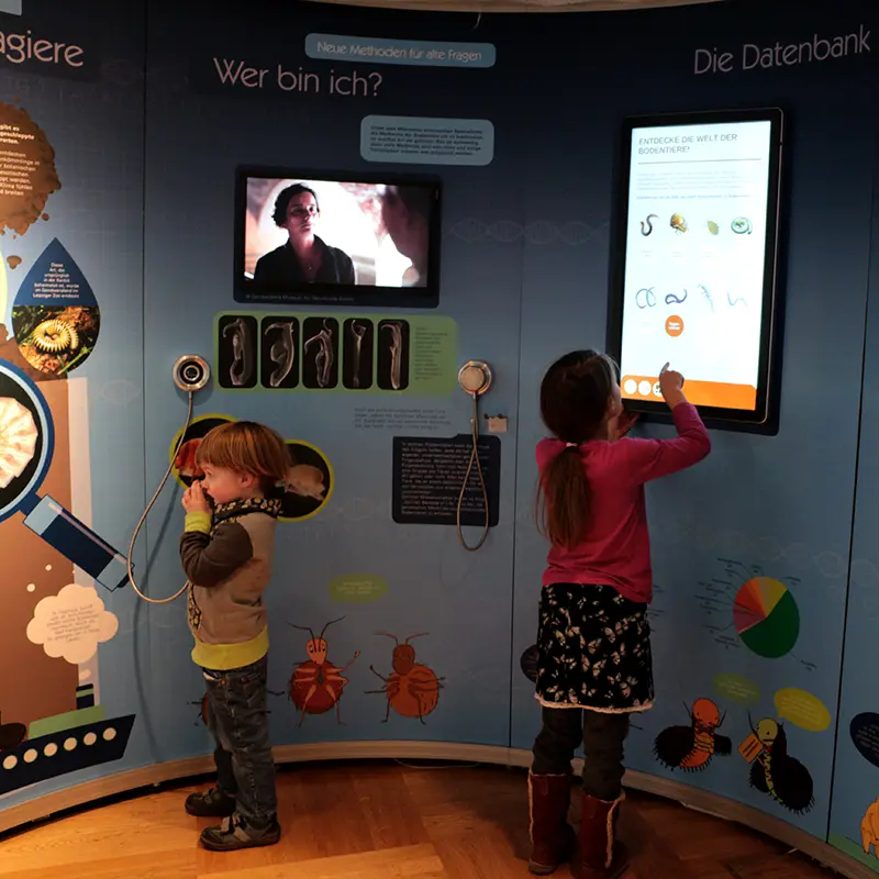 Ausstellungsgestaltung Bodenausstellung Senckenberg