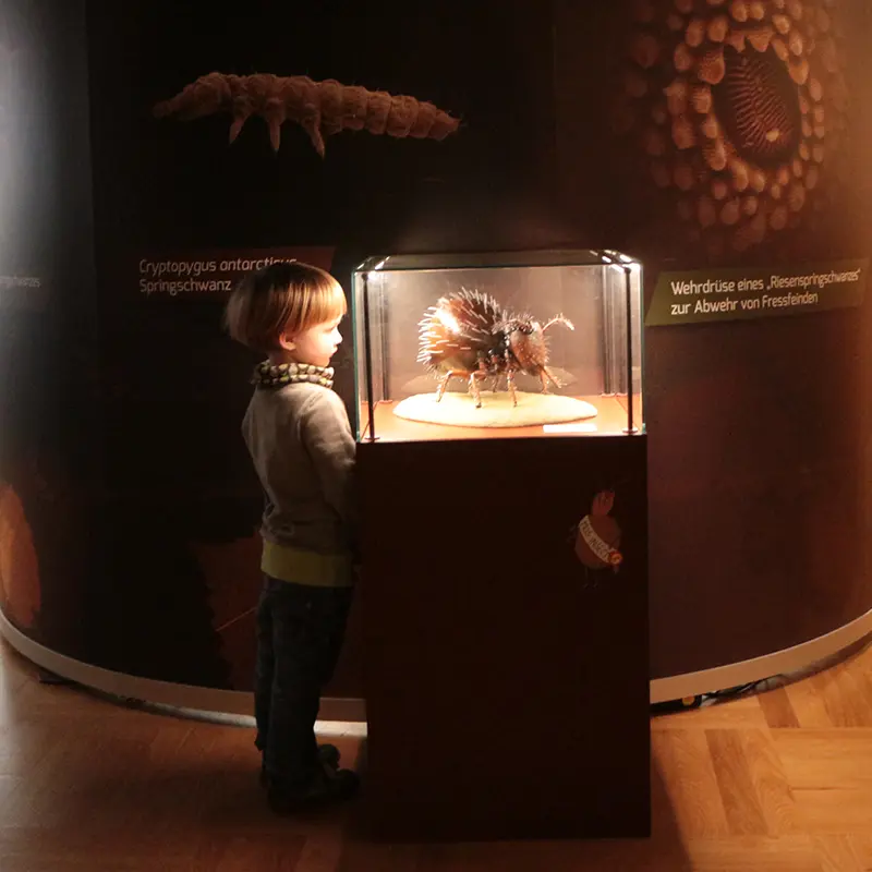 Ausstellungsgestaltung Bodenausstellung Senckenberg