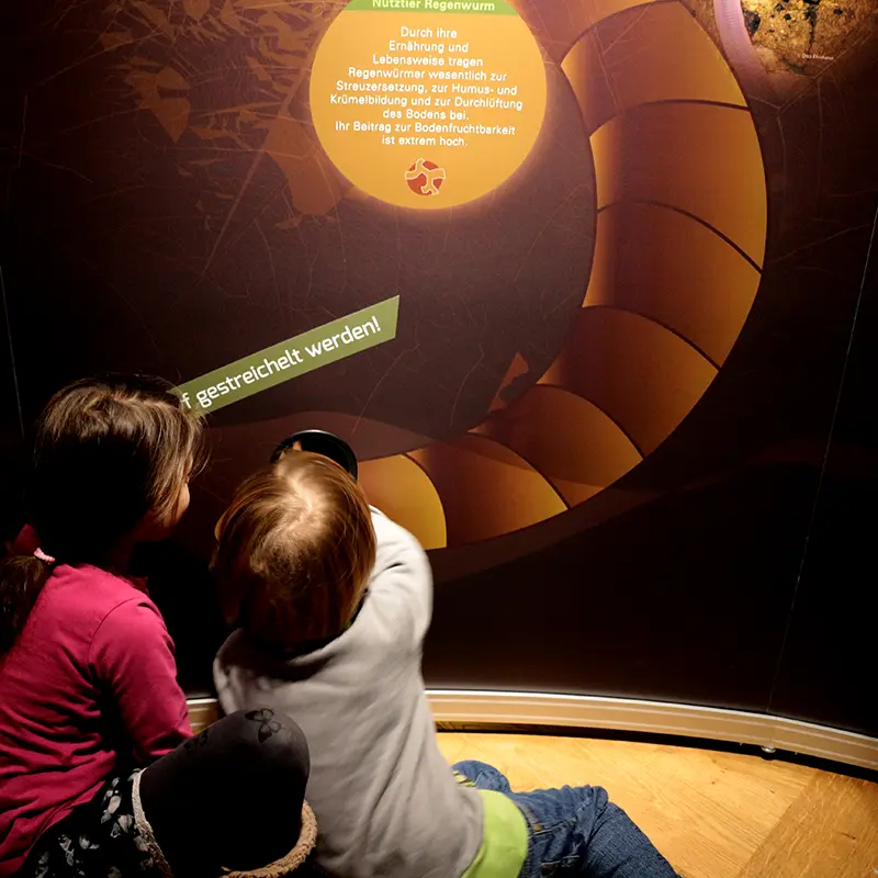 Ausstellungsgestaltung Bodenausstellung Senckenberg