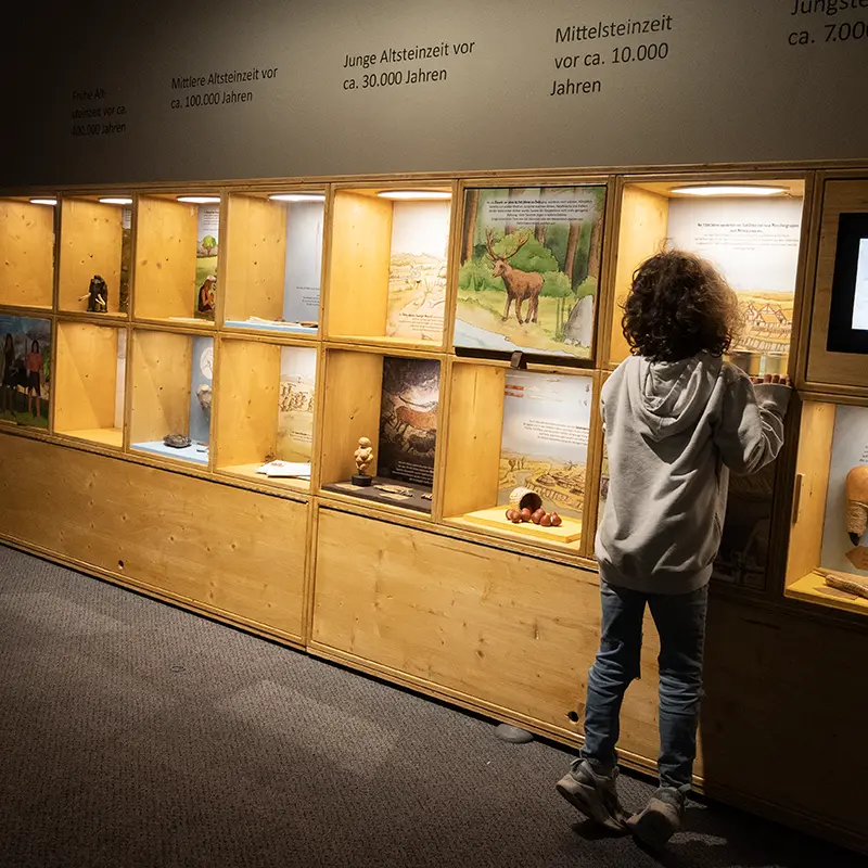 Ausstellungsgestaltung für das Museum der Pfalz