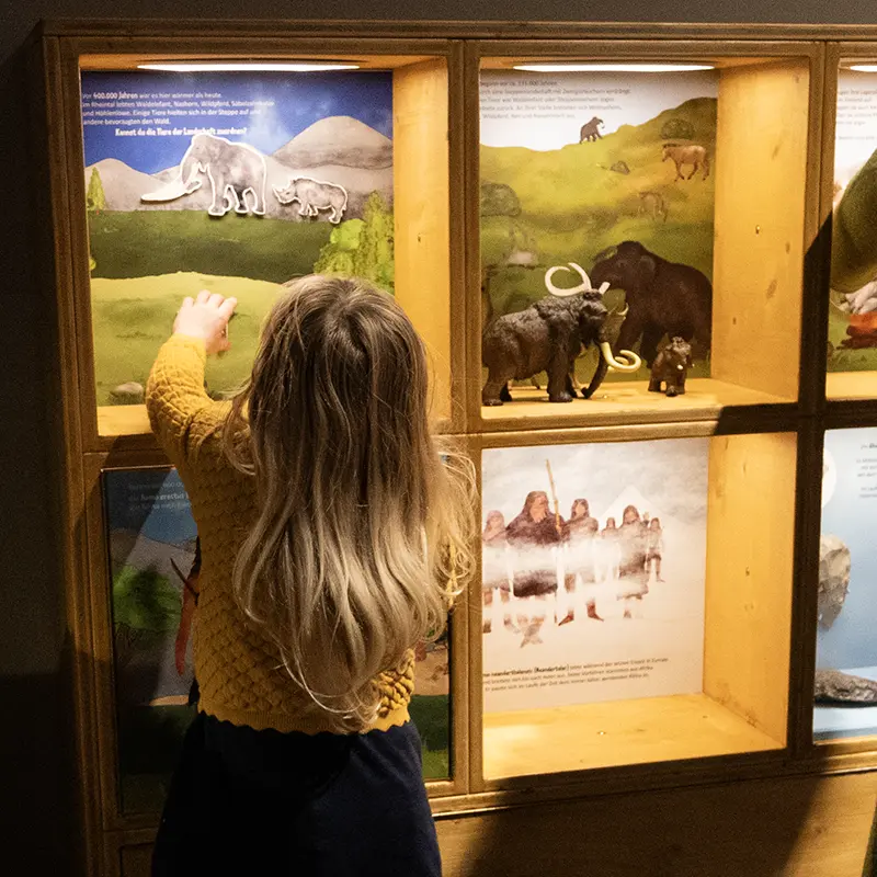 Ausstellungsgestaltung für das Museum der Pfalz