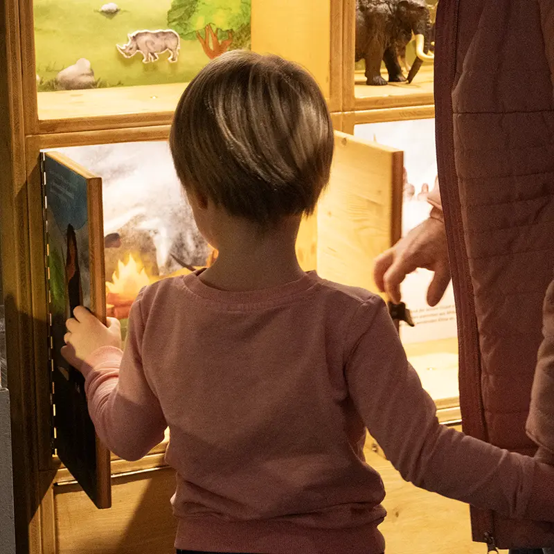 Ausstellungsgestaltung für das Museum der Pfalz