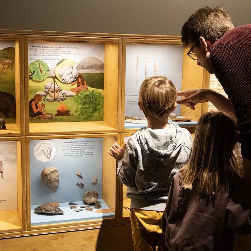 Ausstellungsgestaltung für das Museum der Pfalz