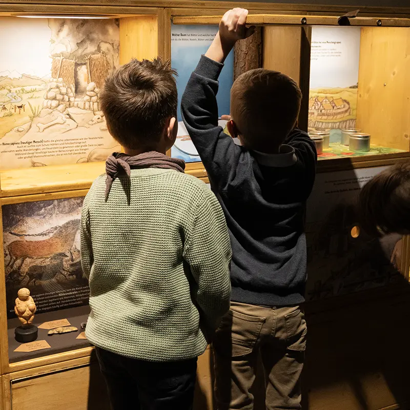 Ausstellungsgestaltung für das Museum der Pfalz