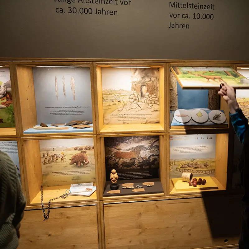 Ausstellungsgestaltung für das Museum der Pfalz