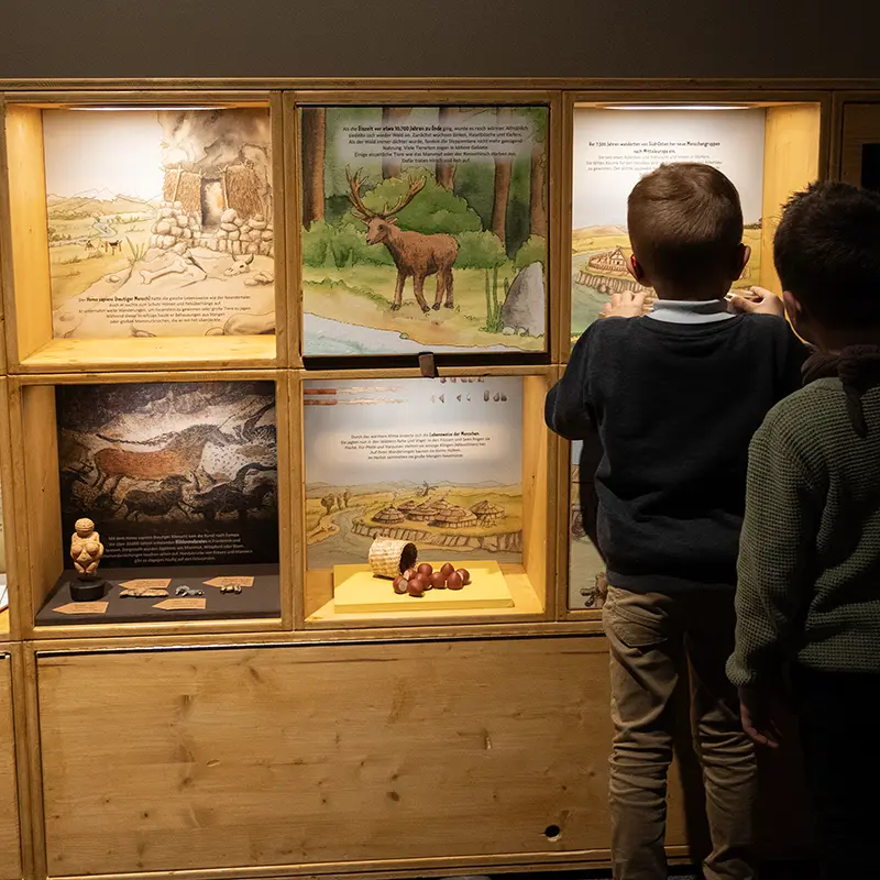 Ausstellungsgestaltung für das Museum der Pfalz