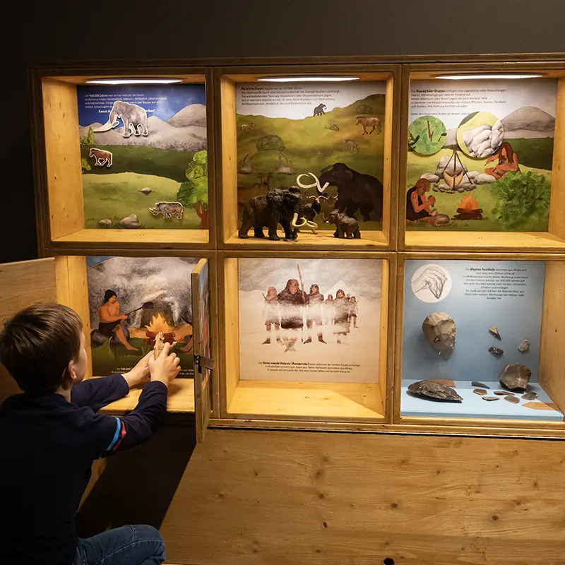 Ausstellungsgestaltung für das Museum der Pfalz