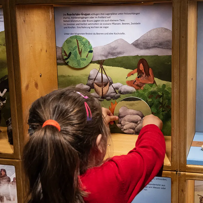 Ausstellungsgestaltung für das Museum der Pfalz