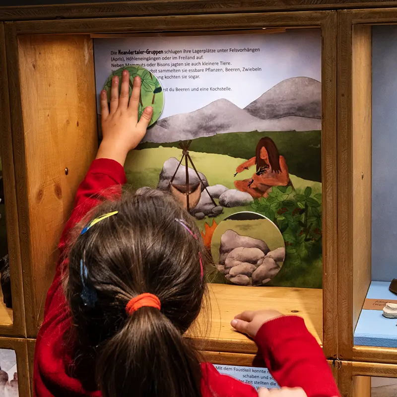 Ausstellungsgestaltung für das Museum der Pfalz