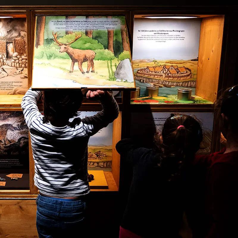 Ausstellungsgestaltung für das Museum der Pfalz