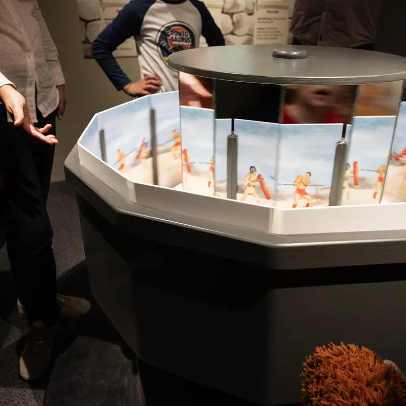 Ausstellungsgestaltung für das Museum der Pfalz