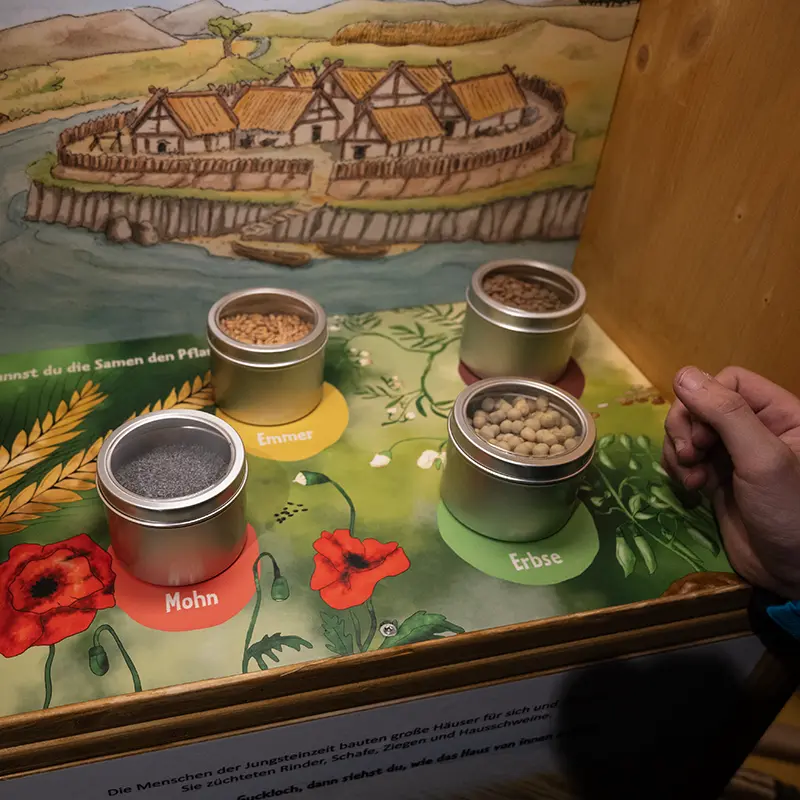 Ausstellungsgestaltung für das Museum der Pfalz